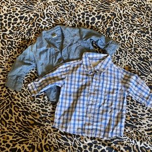 Toddler boy collared button up